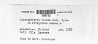 Image Associated With the Occurence